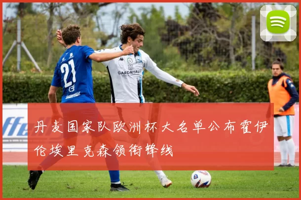 丹麦国家队欧洲杯大名单公布霍伊伦埃里克森领衔锋线