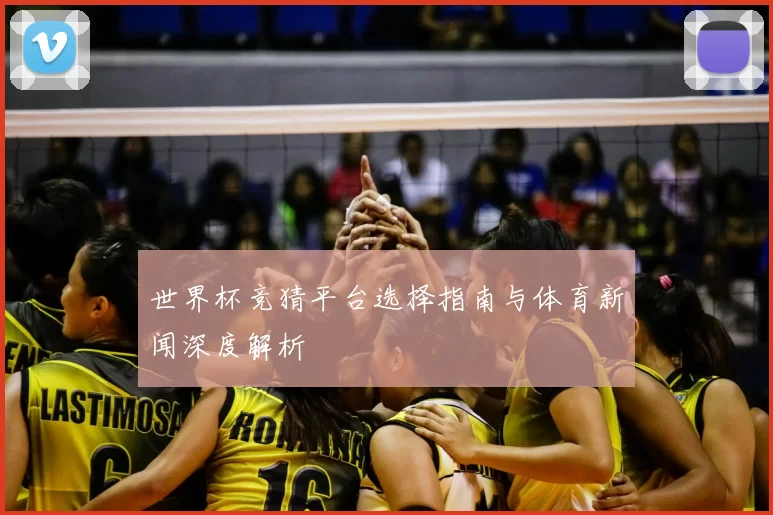 世界杯竞猜平台选择指南与体育新闻深度解析