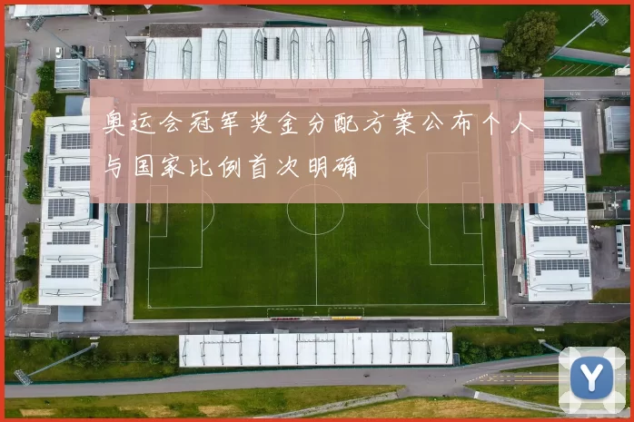 奥运会冠军奖金分配方案公布个人与国家比例首次明确