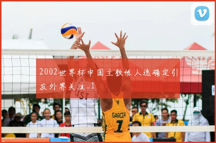 2002世界杯中国主教练人选确定引发外界关注_1