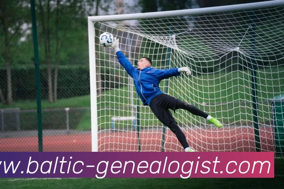 App Interface Preview